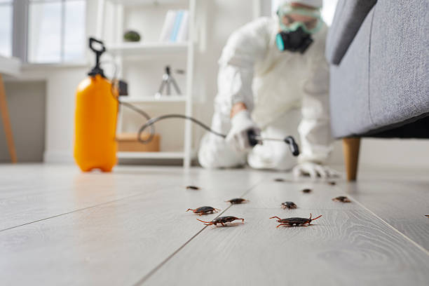 Trusted Fumigation Services service in Plum Grove, TX - Nex Pest Control