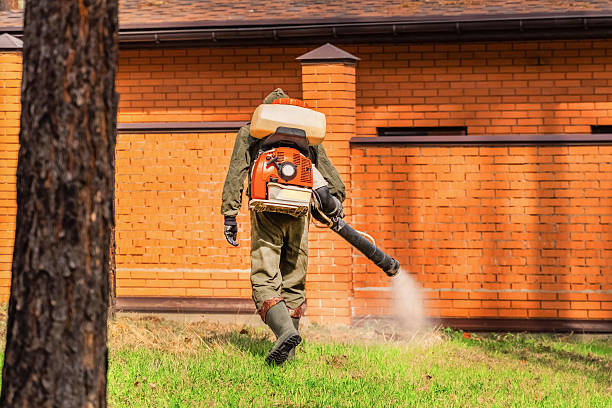 Trusted Emergency Pest Control service in Plum Grove, TX - Nex Pest Control